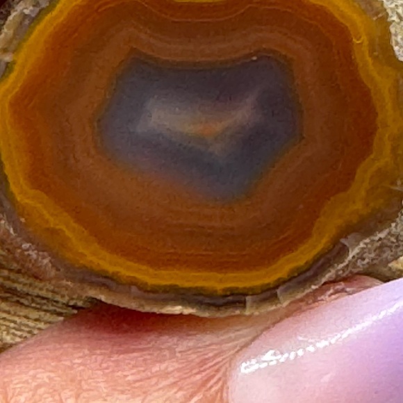 Coyamito Agate from Chihuahua Mexico - Picture 3 of 6